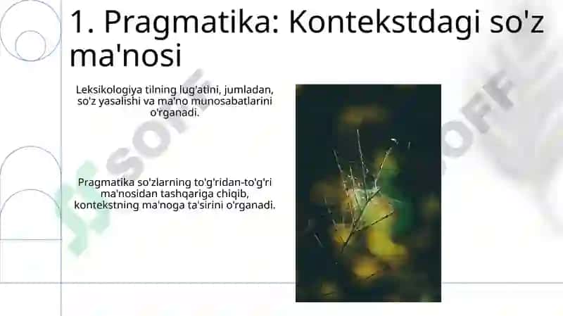 Лексикология және оның салалары 3