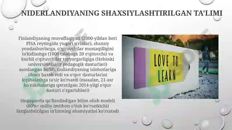 Niderlandiyaning Shaxsiylashtirilgan Ta'limi 3