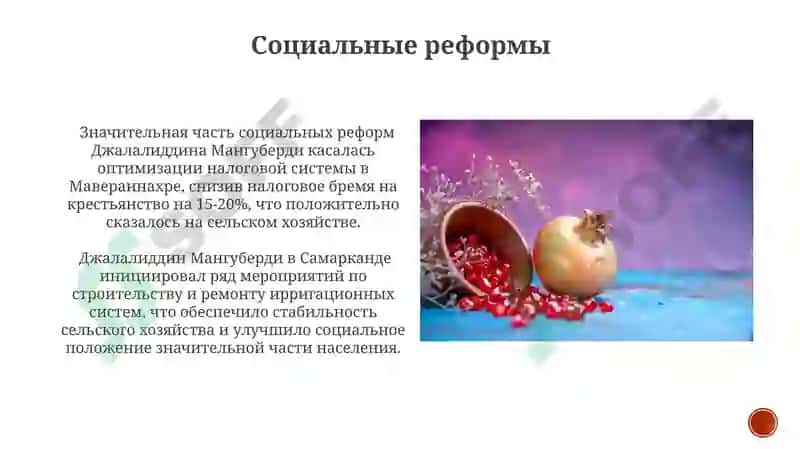 Деятельность Джалолиддина Мангуберди 3