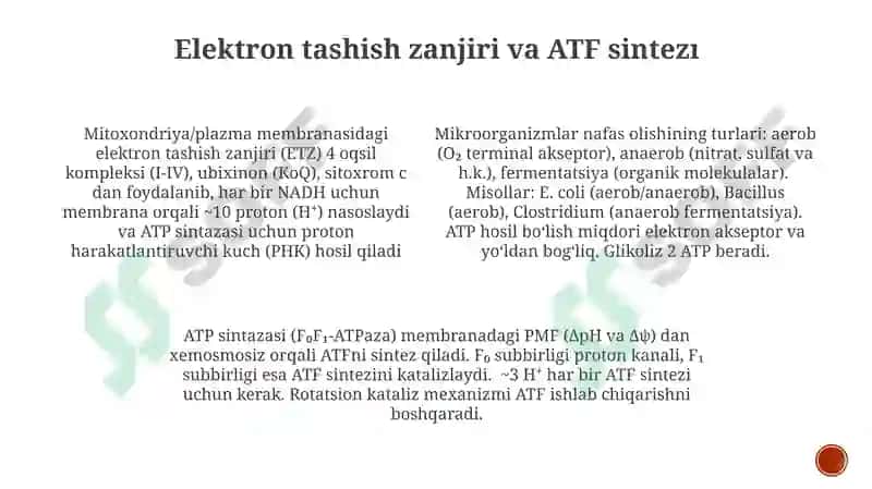Mikroorganizlarning oziqlanishi va nafas olishi 3