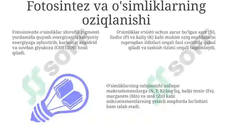 O'simliklarni o'sishi va rivojlanishidagi o'rni 3