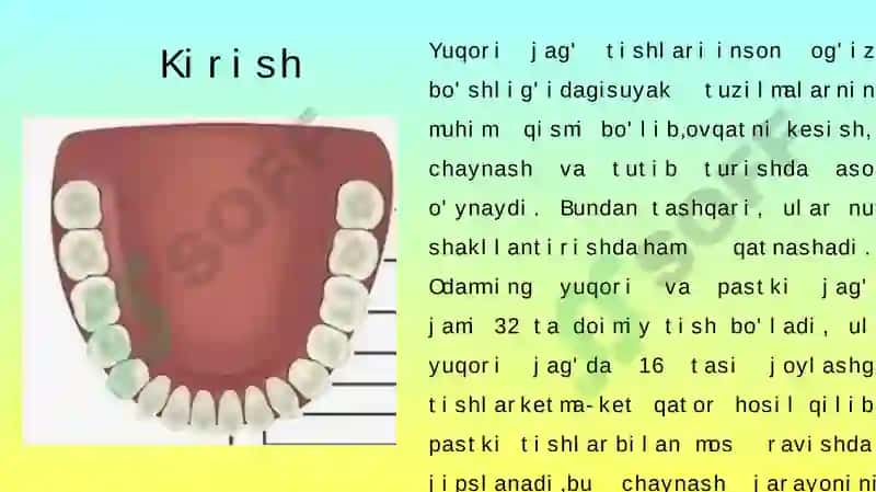 YUOQRI JAG‘ TISHLARI TUZILISHI 3