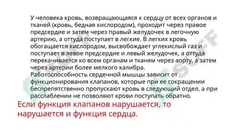 пороки сердца 3