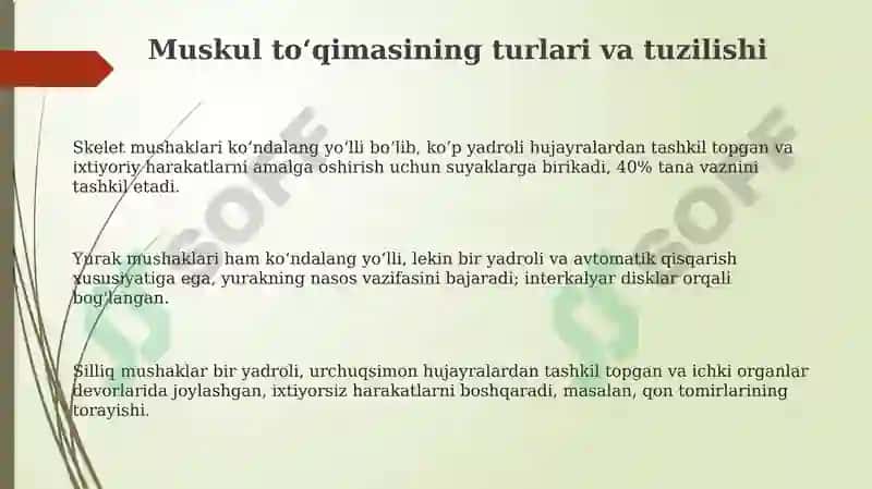 Harakatlanuvchi va qisqarish jarayonlar 3