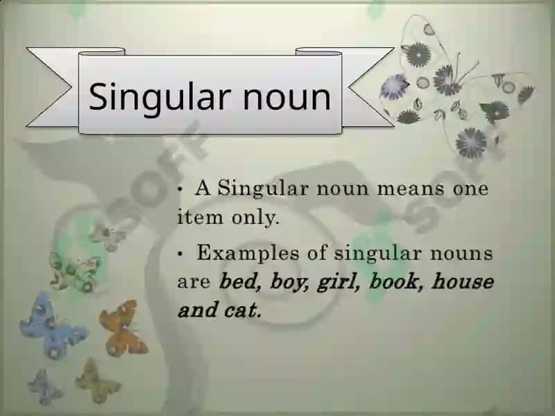 Plural of Nouns 3