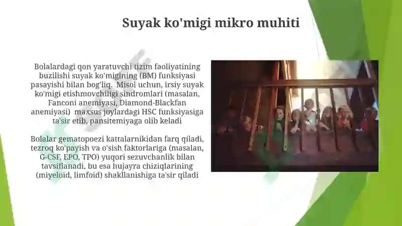 Bolalar qon yaratish anatoma fiziologik usullari 3