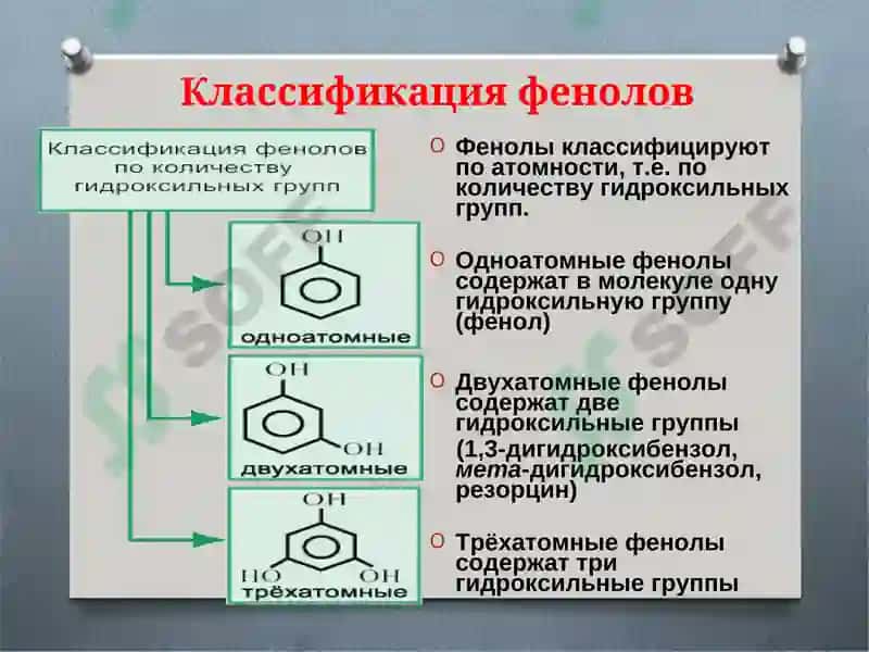 Фенол 3