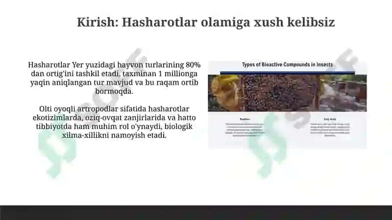 Hasharotlarning xilma-xilligini yoritib beruvchi taqdimot 3