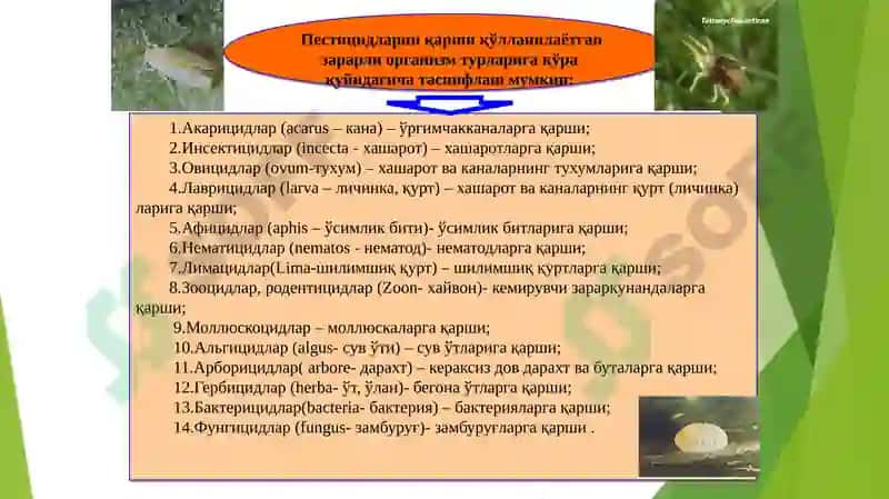 Ўсимликларни кимёвий ҳимоя қилиш 3