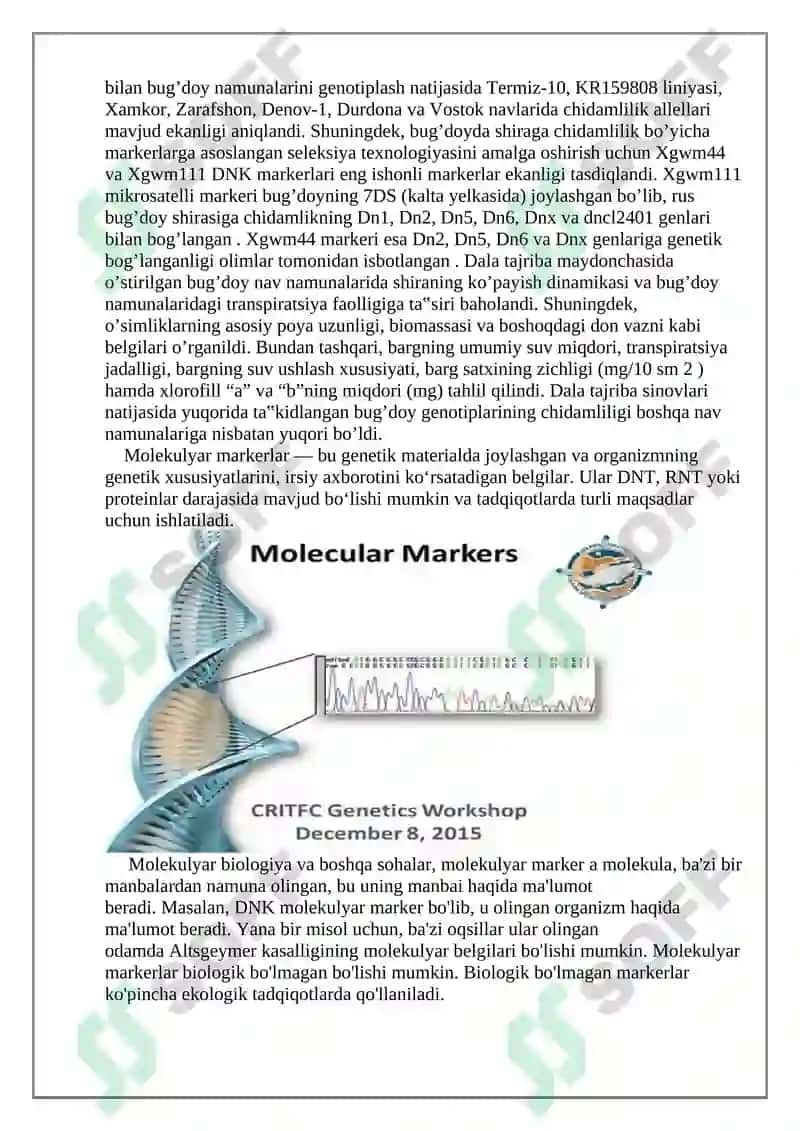 Molekulyar markerlar va ularning tadqiqotlarda ishlatilishi 3