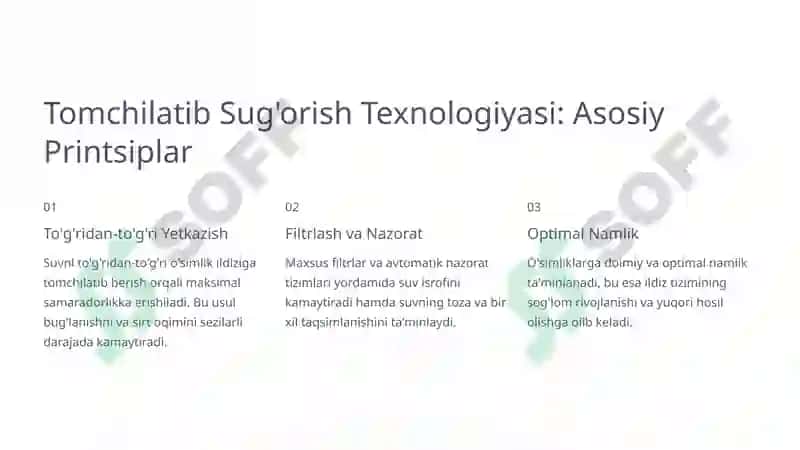 Tomchilatib Sug'orish Texnologiyasining Iqtisodiy Tahlili 3