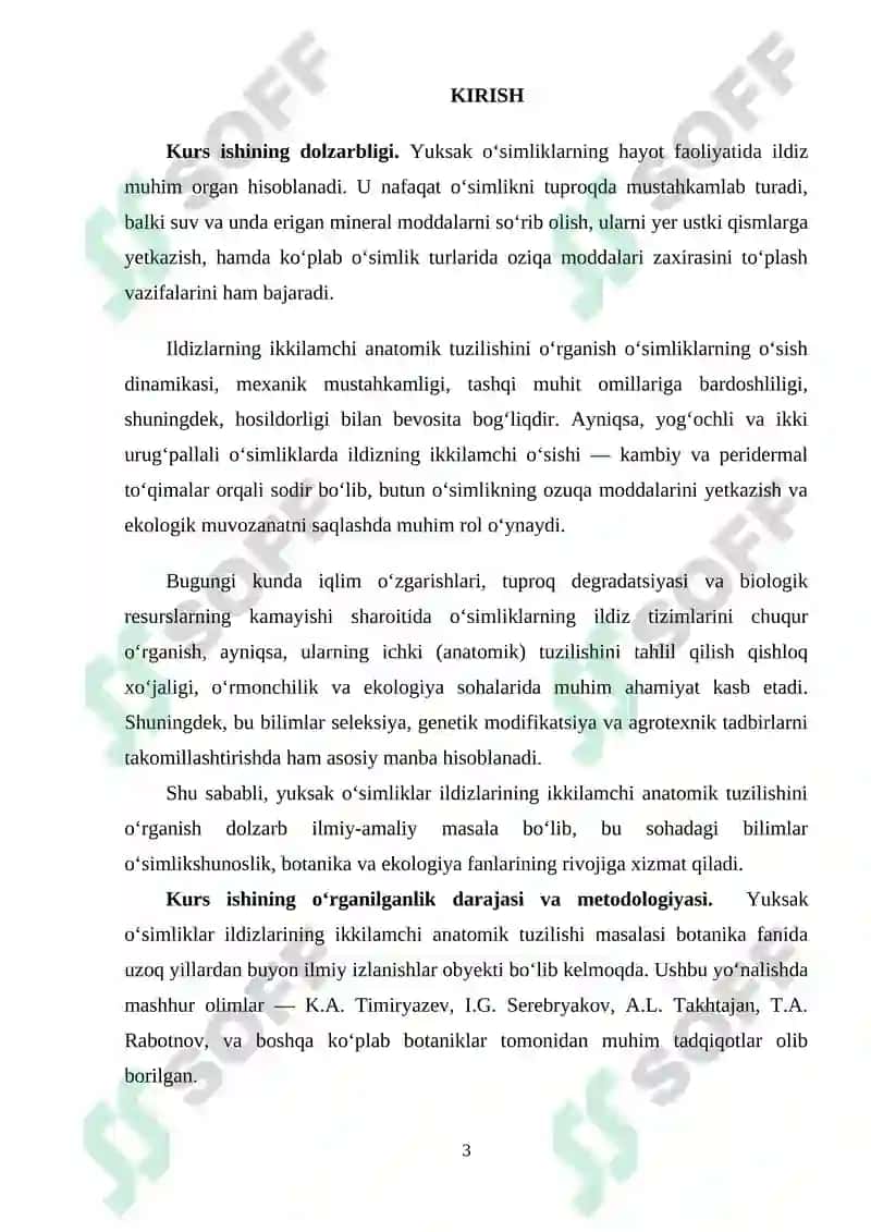 Yuksak o’simliklar ildizlarining ikkamchi anatomik tuzilishi 3