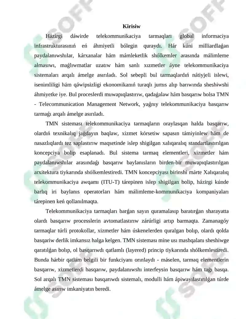 TMN (Telecommunication Management Network) sistemasındaǵı elektr baylanıs tarmaqların basqarıw sisteması 3