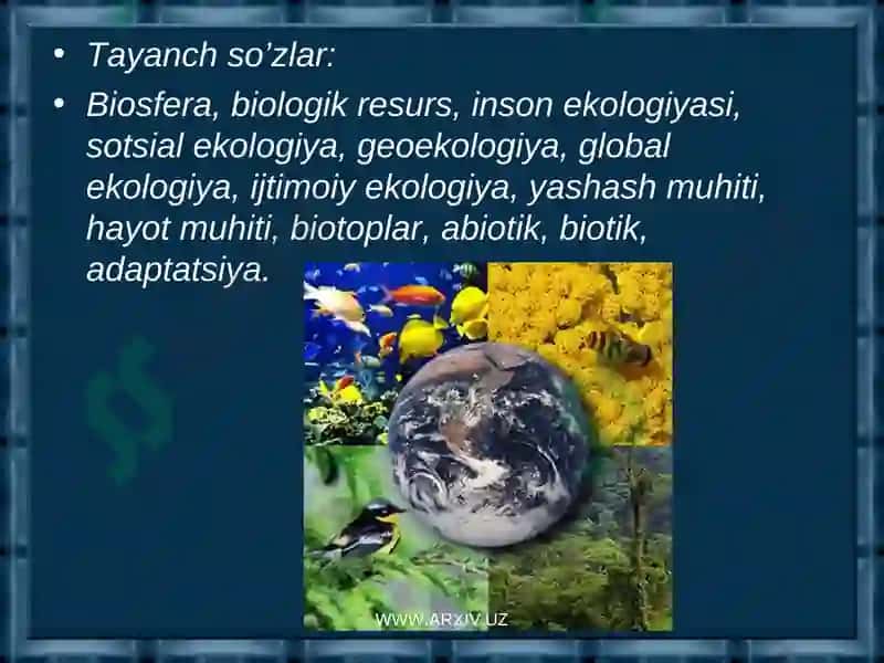 BIOSFERA VA UNING CHEGARALARI 3