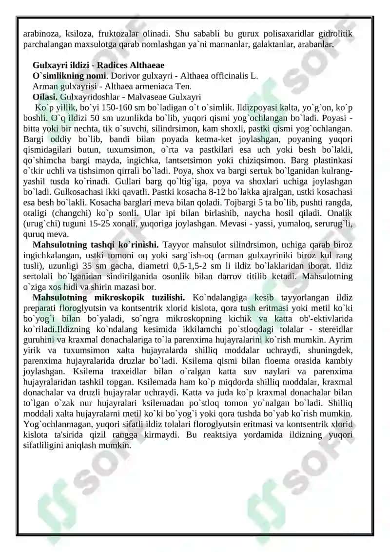 Polisaxaridlar bo’lgan dorivor o`simliklar va ularning mahsulotlari 3
