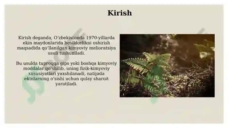 Quruqlik yuzasidagi bionlar 3