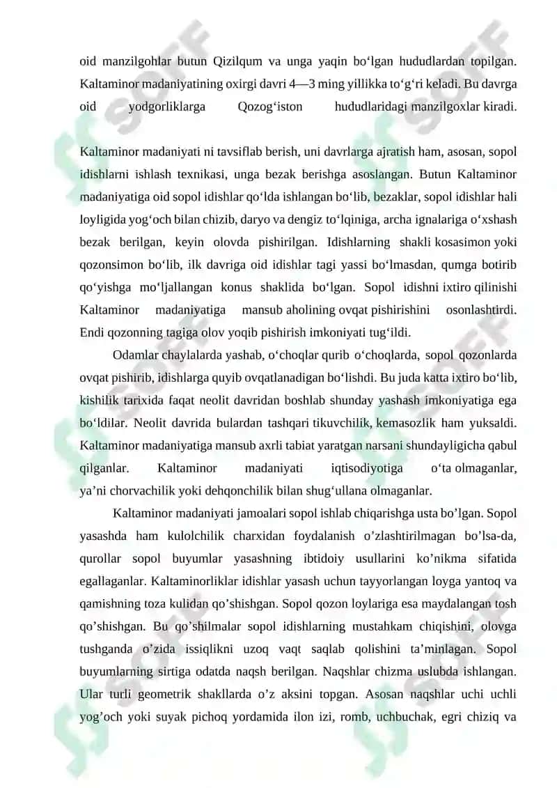 Kaltaminor madaniyati 3
