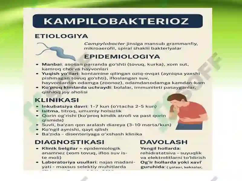 KAMPILOBAKTERIOZEtiologiyasi 3