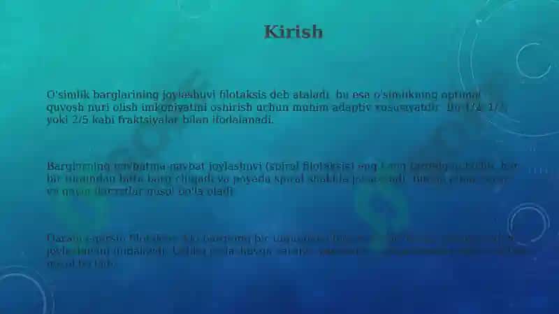 O'simliklarning barg joylashishini (navbatma-navbat, qarama-qarshi, to'pgul) tahlil qilish 3