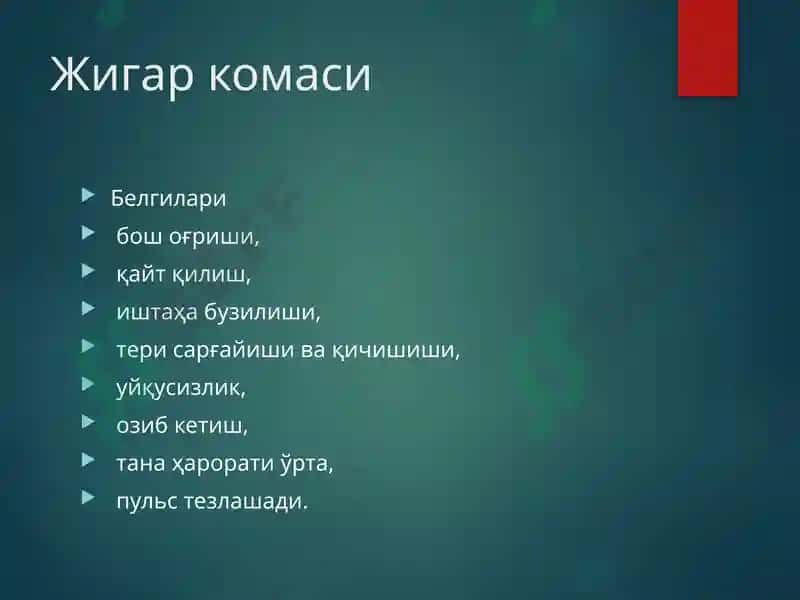 Жигаркомаси 3