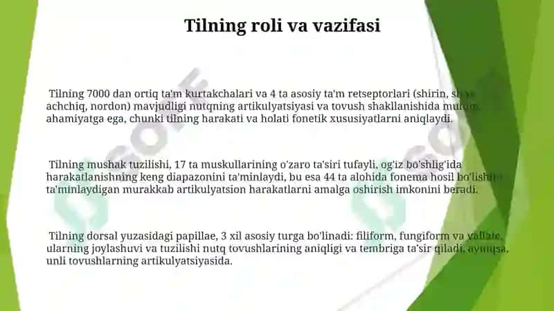 Nutqning anatomo fiziologik mexanizmi 3