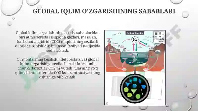 Global iqlimoʻzgarishi biologik tizimlar g‘ataʼsiri 3
