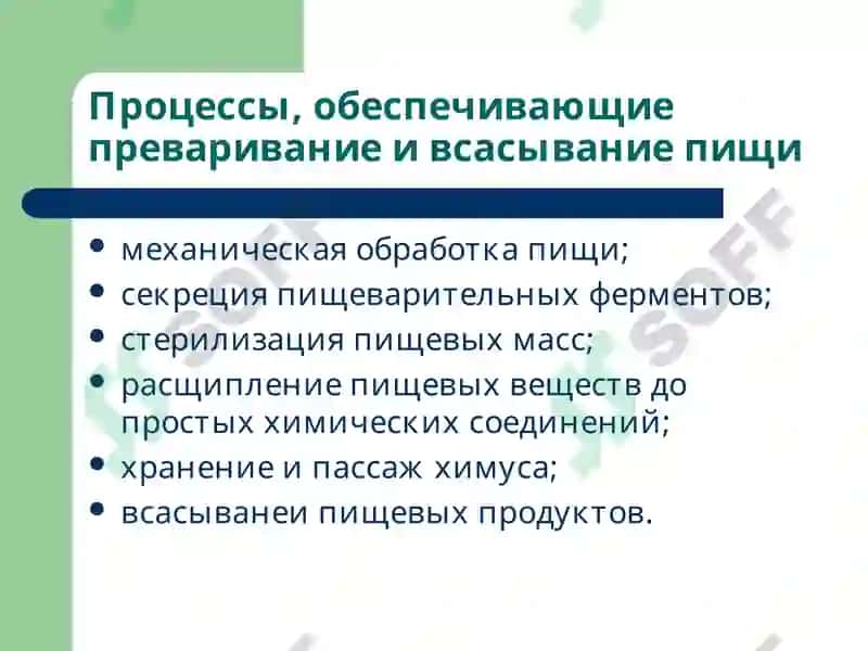 Патофизиология системы пищеварения 3