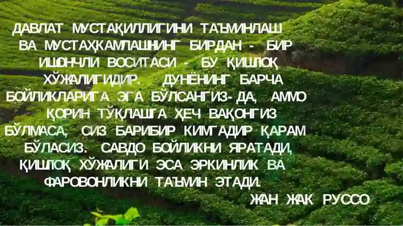 Kurs ishi 3