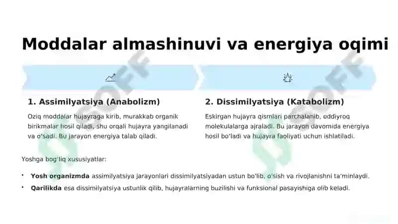 Hujayrada moddalar, energiya va ma’lumotlar oqimi: Tibbiyotdagi roli 3