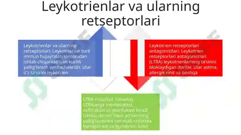 Leykotrien Retseptorlariga Tasir Etuvchi Dori Vositalari 3