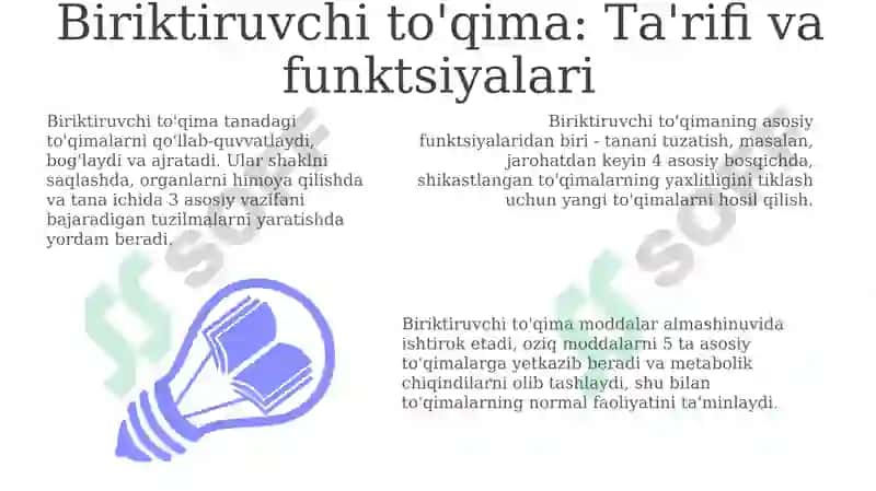 Biriktiruvchitoʻqima 3