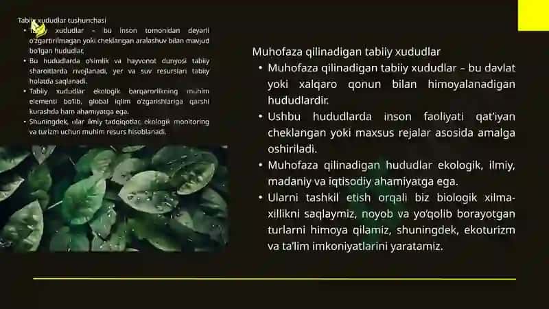 Alohida muhofaza qilinadigan tabiiy xududlarning turlari va uni tashkil etish 3