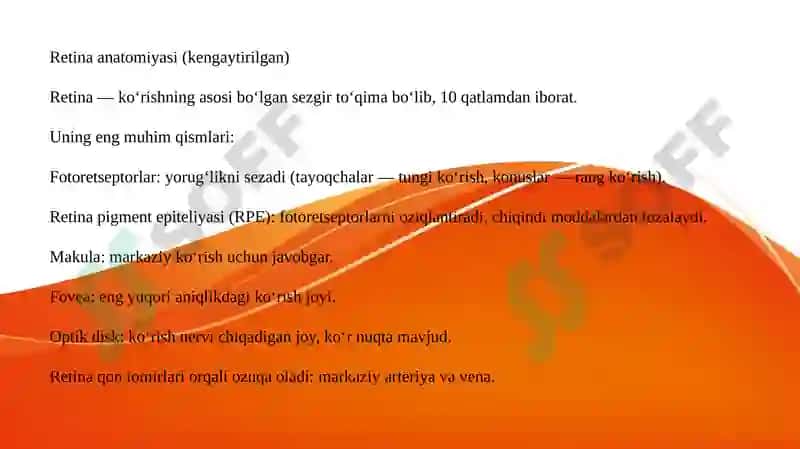 RETINA VA KO‘RISH YO‘LLARINI TEKSHIRISHDA ZAMONAVIY DIAGNOSTIKA 3