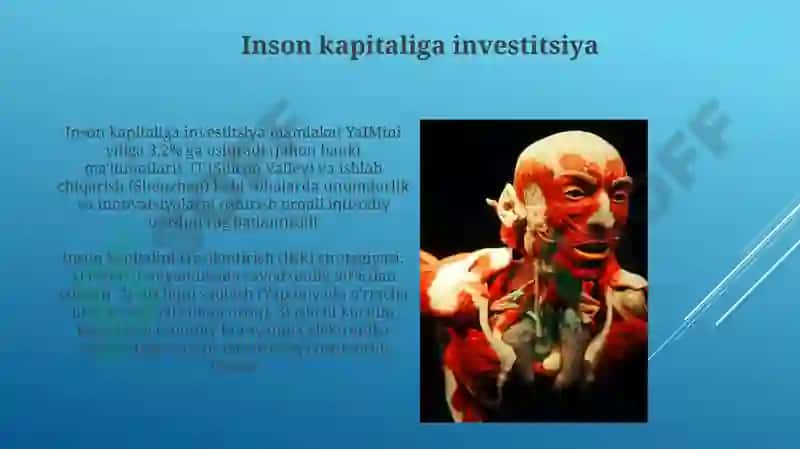Inson kapitaliga investitsiya 3