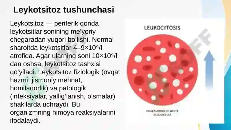 Qon patofiziologiyasi. Leykotsitoz, leykopeniya va leykomoid reaksiyalar. Leykoz va uning turlari 3