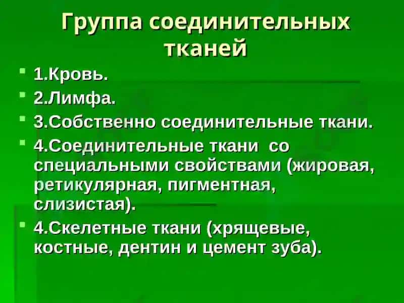Лекция: «Собственно соединительные ткани. Соединительные ткани со специальными свойствами».Доцент Курумчина С.Г. 3