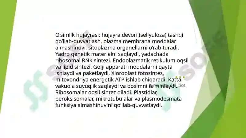 O’simliklarning hayotiy shakillari Tuban  o’simliklar 3