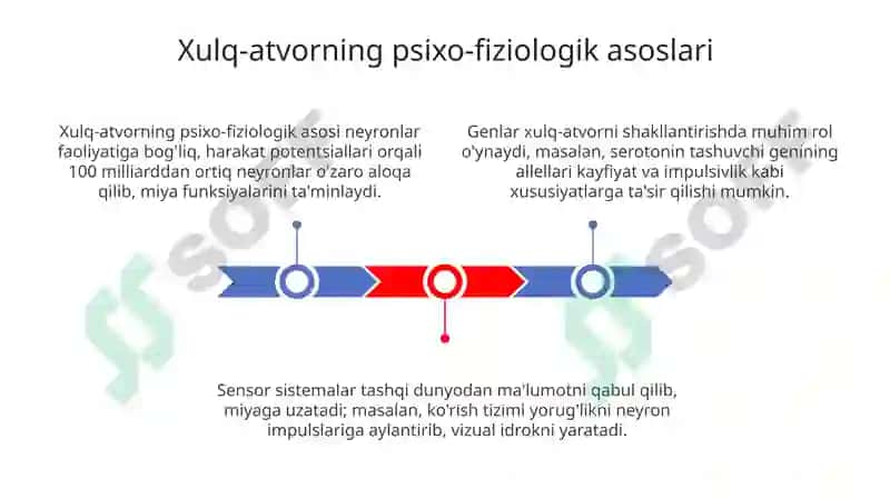 Xulq-atvorning psixo-fiziologik asoslari 3