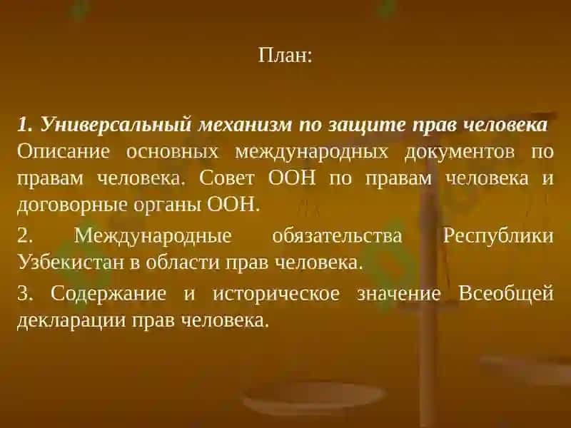 Международные стандарты права человека и механизмы защиты 3
