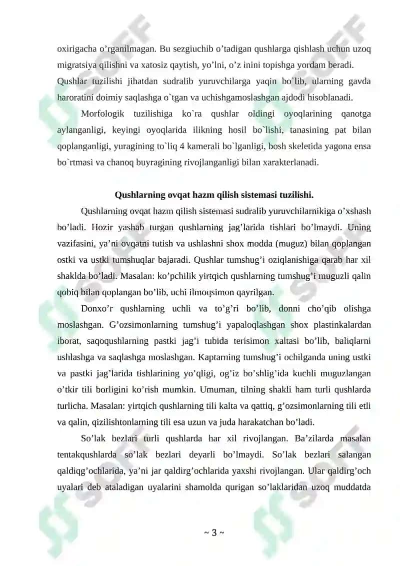 Qushlar sinfi Kurs ishi 3