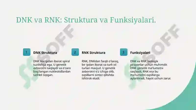 DNK va RNK 3