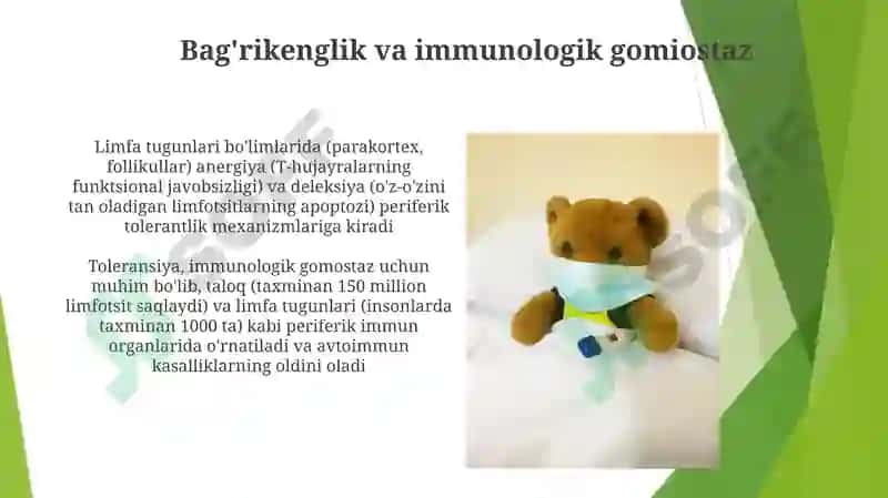 Immunitet tizimining periferik a'zolari 3