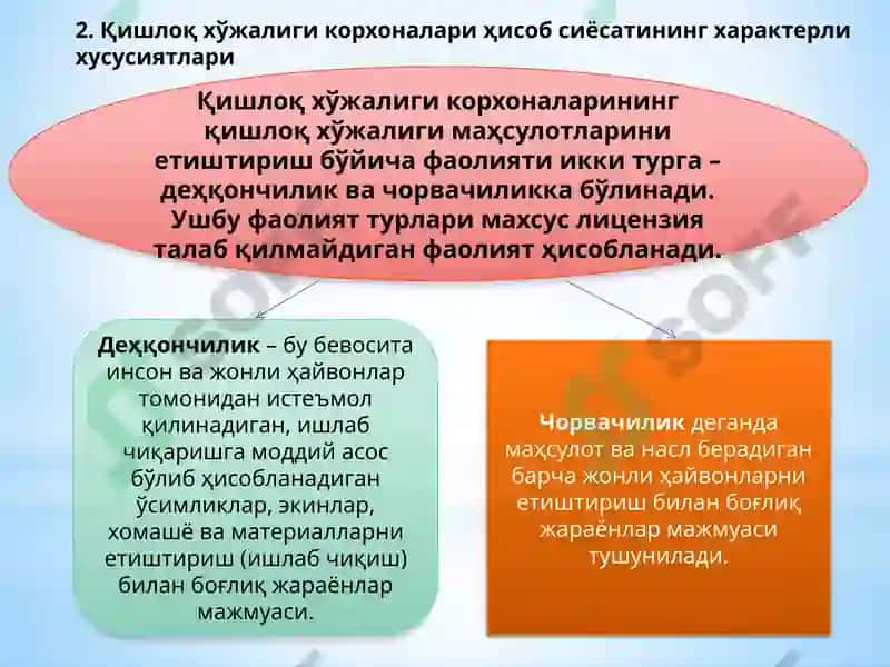 Қишлоқ хўжалиги корхоналарида бухгалтерия ҳисобини ташкил қилиш 3