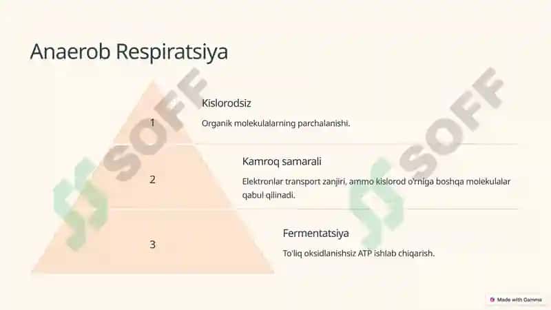Katabolik Metabolizm: Mikroblarning Energiya Olish Usullari 3