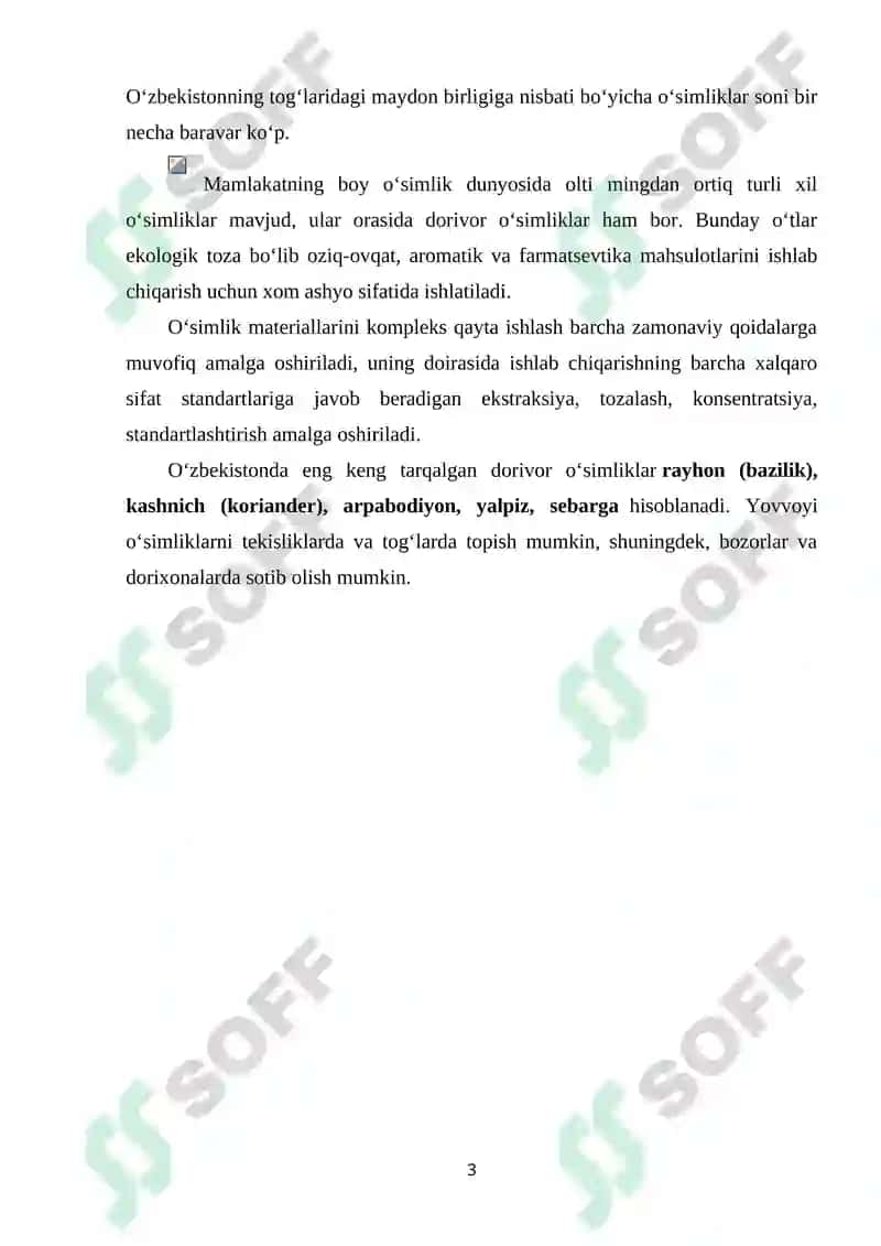 XALQ TABOBATIDA KENG QO’LLANILADIGAN DORIVOR O’SIMLIKLAR VA ULARGA BOTANIK TAFSIF 3