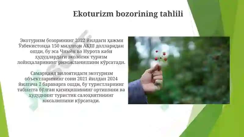Ekologik turizm 3