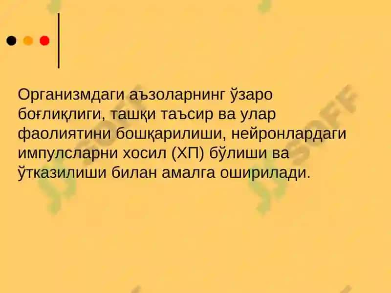 Асаб толаларининг ва синапсларнинг физиологияси 3