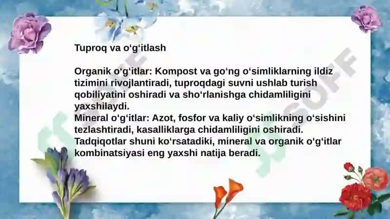O'simlik_chidamliligiga_agrotexnik_tadbirlarning_ta'siri 3
