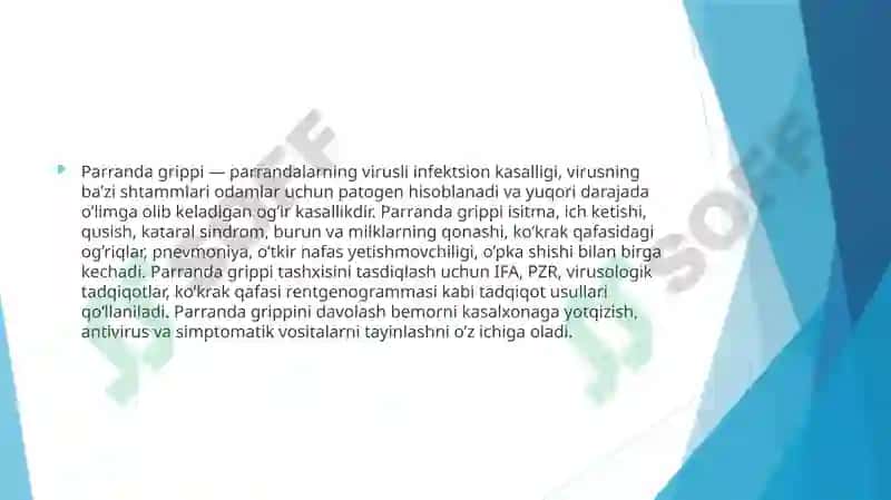 PARRANDA GRIPPI 3