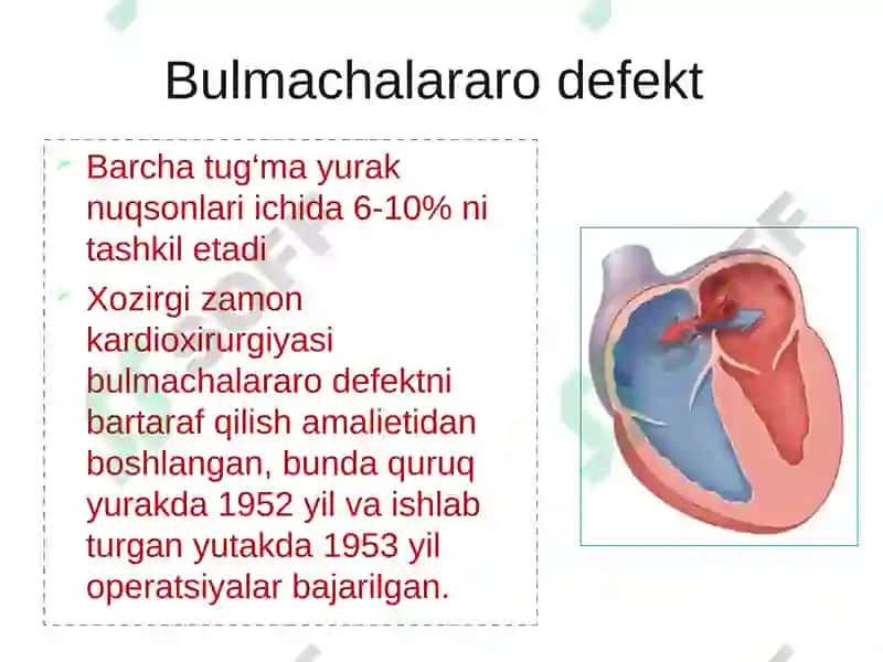 YURAK NUQSONLARI ETIOLOGIYASI PATOGENEZI 3